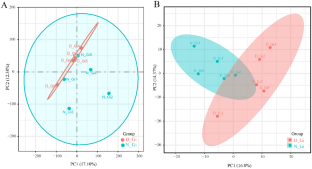 Comprehensive Multi-omics Approaches Provide Insights to Summer Mortality in the Clam Meretrix petechialis