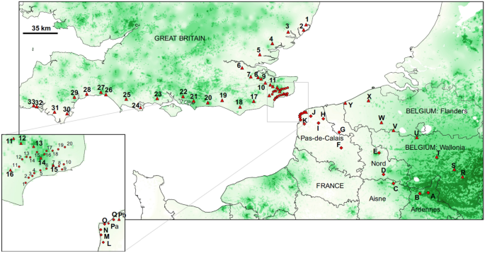 Evidence of cross-channel dispersal into England of the forest pest Ips typographus