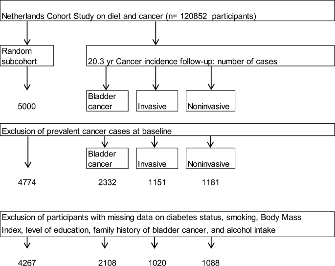 Diabetes and the risk of bladder cancer subtypes in men and women: results from the Netherlands Cohort Study