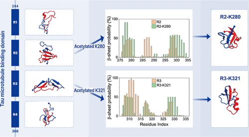Molecular Insights into the Differential Effects of Acetylation on the Aggregation of Tau Microtubule-Binding Repeats