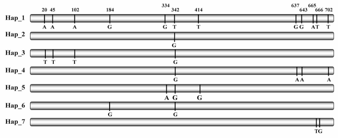 Fitness difference between two synonymous mutations of Phytophthora infestans ATP6 gene.