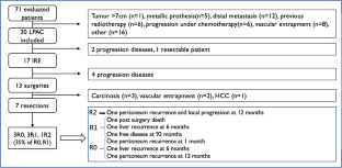 Irreversible electroporation to bring initially unresectable locally advanced pancreatic adenocarcinoma to surgery: the IRECAP phase II study.