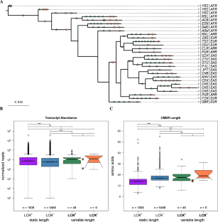 Evolution of Transcript Abundance is Influenced by Indels in Protein Low Complexity Regions.