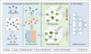 CHL-DTI: A Novel High-Low Order Information Convergence Framework for Effective Drug-Target Interaction Prediction.