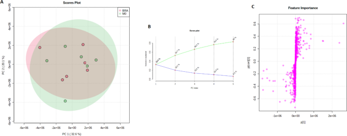 TGFβ signalling pathway impacts brain metastases profiles in locally advanced colorectal cancer