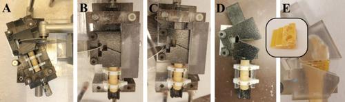 Accuracy Analysis of 3D Bone Fracture Models: Effects of Computed Tomography (CT) Imaging and Image Segmentation.