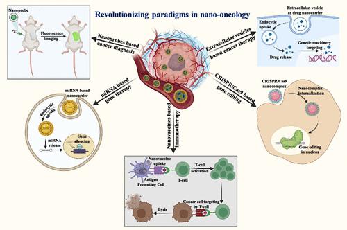 Advancing Era and Rising Concerns in Nanotechnology-Based Cancer Treatment