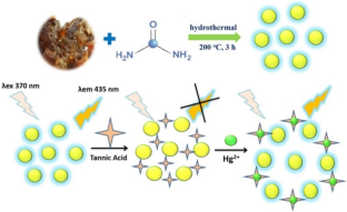 One-pot hydrothermal method of green-synthesized nitrogen-doped carbon quantum dots for ultra-sensitive dual detection of tannic acid and Hg2+ ions