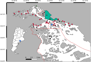 Foraging areas of Orlog’s gulls in an estuarine ecosystem of Argentina: are they underprotected?