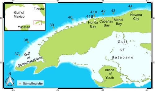 Setting an Environmental Baseline for the Deep-Sea Slope Offshore Northwestern Cuba (Southeastern Gulf of Mexico) Using Sediments and Nematode Diversity