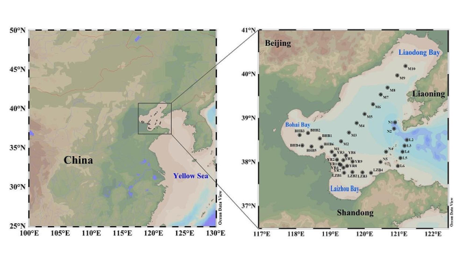 Biodiversity and distribution patterns of blooming jellyfish in the Bohai Sea revealed by eDNA metabarcoding