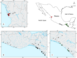 Repeated patterns in the body shape of distantly related estuarine and riverine cichlids from Northern Middle America