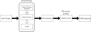 DR-XAI: Explainable Deep Learning Model for Accurate Diabetic Retinopathy Severity Assessment