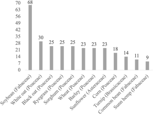 Survival niches of Pseudomonas savastanoi pv. glycinea, causal agent of bacterial blight in soybean (Glycine max L.)