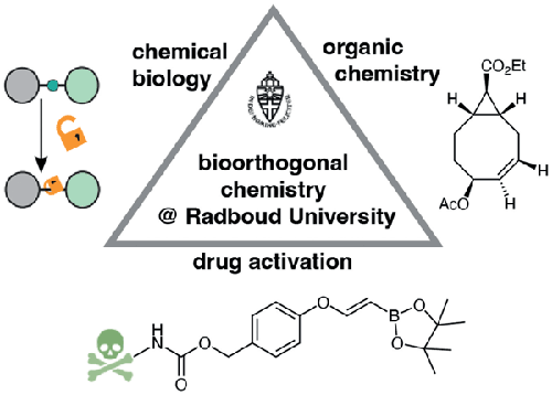 Bioorthogonal Chemistry at Radboud University: Past, Present and Future