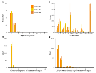 Characterizing identity by descent segments in Chinese interpopulation unrelated individual pairs.