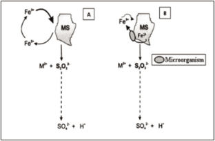 Towards a Sustainable and Enhanced Iron Ore Recovery: Bio-beneficiation Review