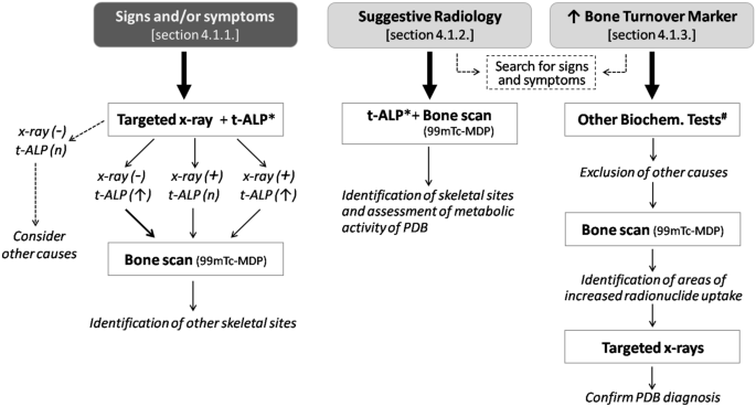 Diagnosis and treatment of Paget's disease of bone: position paper from the Italian Society of Osteoporosis, Mineral Metabolism and Skeletal Diseases (SIOMMMS).