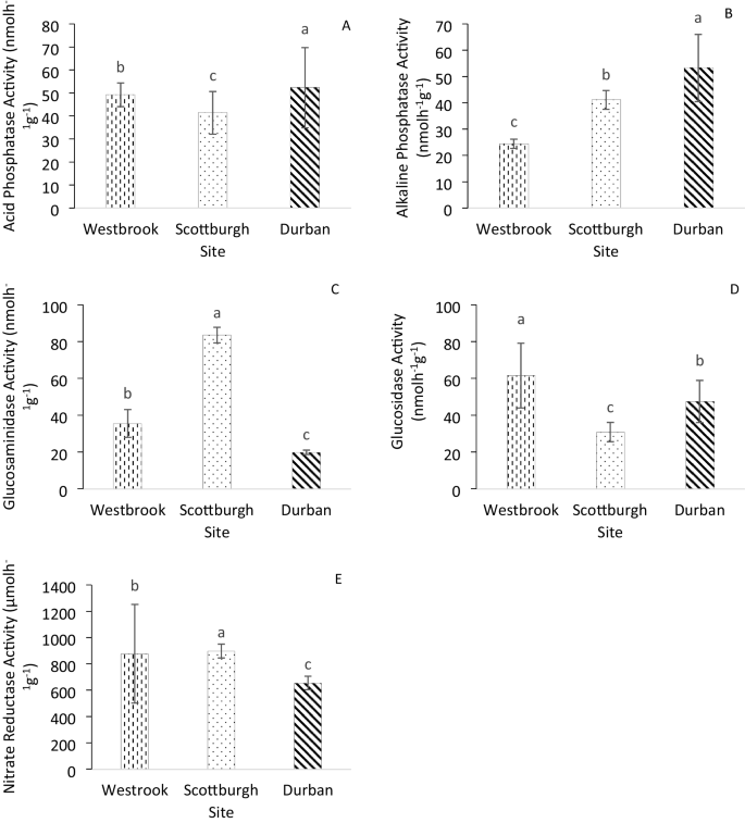 Plant-associated bacteria and enzymes support Canavalia rosea growth in coastal hypersaline soils