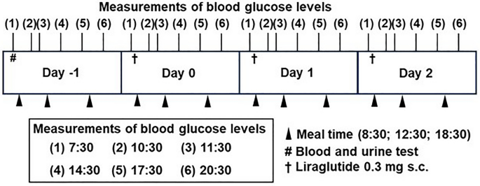 Immediate Impact of Switching from Dipeptidyl Peptidase 4 (DPP4) Inhibitors to Low-Dose (0.3 mg) Liraglutide on Glucose Profiles: A Retrospective Observational Study.