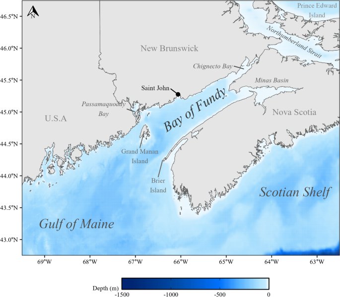 Improving Satellite Chlorophyll-a Retrieval in the Turbid Waters of the Bay of Fundy, Canada