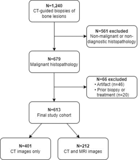 Does the presence of macroscopic intralesional fat exclude malignancy? An analysis of 613 histologically proven malignant bone lesions.