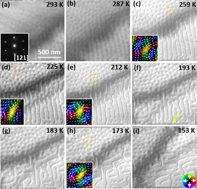 Spontaneous Small Biskyrmions in a Centrosymmetric Rare-Earth Kagome Ferrimagnet