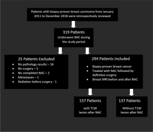 Evaluating persistent T1-weighted lesions without concurrent abnormal enhancement on breast MRI in neoadjuvant chemotherapy patients: implications for complete pathological response.