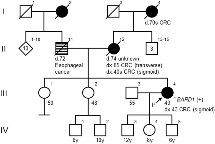 BARD1 deletion in a patient with suspected hereditary colorectal cancer.