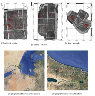 Thermal imaging for identification of malfunctions in subsurface drip irrigation in orchards