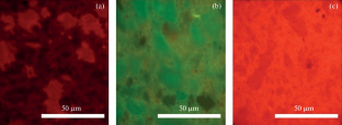 Sensitization of Europium (Eu3+) Ions by Terbium (Tb3+) in Ceramics Based on Yttrium Stabilized Cubic Zirconium Dioxide