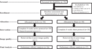 Lack of effects of eight-week left dorsolateral prefrontal theta burst stimulation on white matter macro/microstructure and connection in autism.