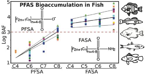 Bioaccumulation of Perfluoroalkyl Sulfonamides (FASA)