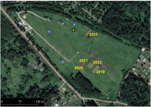 Influence of Spring Burns on the Properties of Humus Horizon of Chernozem in the Southeast of Western Siberia