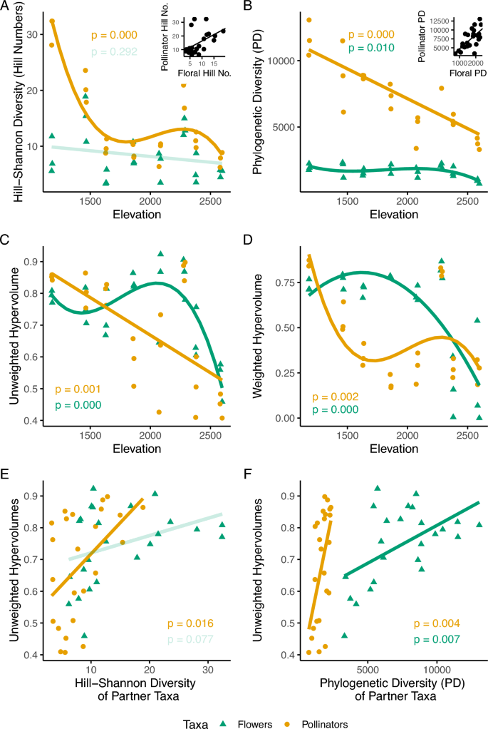 Floral and pollinator functional diversity mediate network structure along an elevational gradient