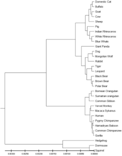 Choice of Metric Divergence in Genome Sequence Comparison.