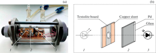 Kinetics of Changing in Optical Transmittance of Palladium Nanolayers during Interaction with Hydrogen