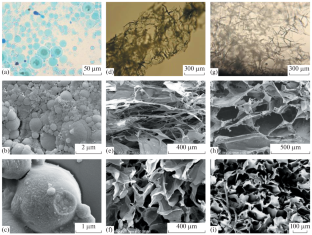 Influence of the Structure of Sulfonic Polyelectrolyte Matrices on the Adsorption of Cu2+ Ions