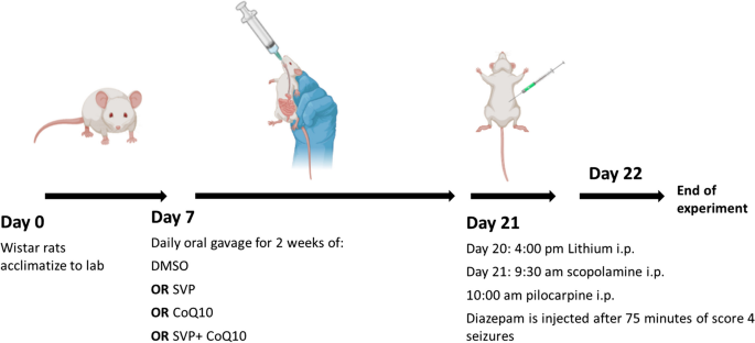 CoQ10 targeted hippocampal ferroptosis in a status epilepticus rat model.