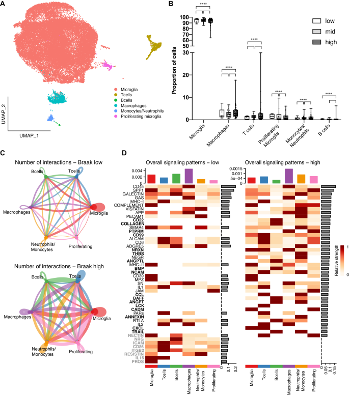 Switch of innate to adaptative immune responses in the brain of patients with Alzheimer's disease correlates with tauopathy progression.