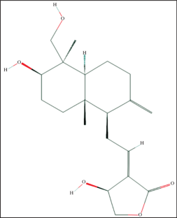 Molecular Identification of Leptospira interrogans and Its Treatment with Andrographis paniculata Extract