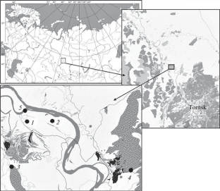 Peculiarities of the Structure of Zooplankton Communities in Floodplain Water Bodies of the Middle Ob