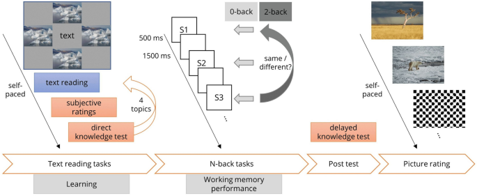 Task-irrelevant decorative pictures increase cognitive load during text processing but have no effects on learning or working memory performance: an EEG and eye-tracking study