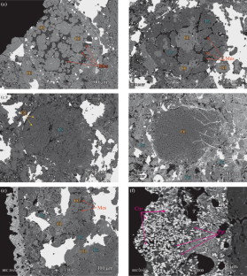 The Borodino Meteorite: Evolution on the Parent Body