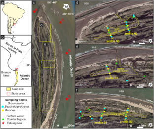 Influence of groundwater discharge on the hydrochemistry of coastal lagoons and marsh environments in Punta Rasa Natural Reserve area, Argentina