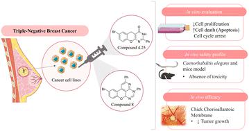 In vitro and in vivo evaluation of novel chromeno[2,3-d]pyrimidinones as therapeutic agents for triple negative breast cancer†