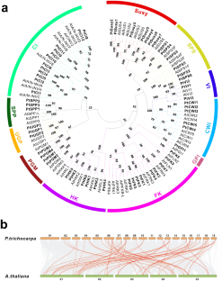 Integrative omics studies revealed synergistic link between sucrose metabolic isogenes and carbohydrates in poplar roots infected by Fusarium wilt