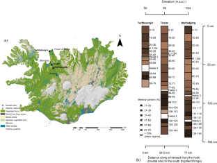 Depth trends of δ13C and δ15N values in peatlands in aeolian environments of Iceland