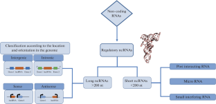 Regulatory Non-Coding RNAs in Crops Health and Disease