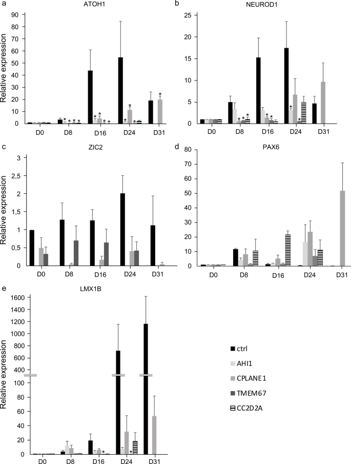 Joubert syndrome-derived induced pluripotent stem cells show altered neuronal differentiation in vitro